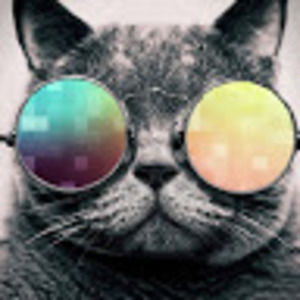 Meet your Posher, Edith